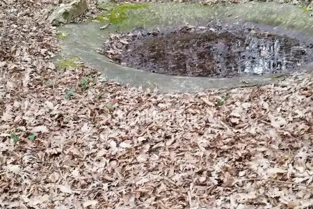 BARBAN, ISTRA, VELIKO  POLJOPRIVREDNO ZEMLJIŠTE U BLIZINI GRADA, PRILIKA !