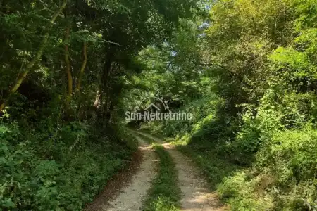 BARBAN, ISTRA, VELIKO  POLJOPRIVREDNO ZEMLJIŠTE U BLIZINI GRADA, PRILIKA !