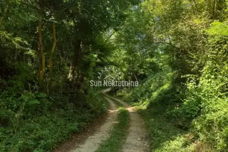 BARBAN, ISTRA, VELIKO  POLJOPRIVREDNO ZEMLJIŠTE U BLIZINI GRADA, PRILIKA !